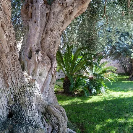 Villa Montalbano *